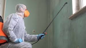 Why You Should Choose Our Mold Remediation Services in Kittanning, PA